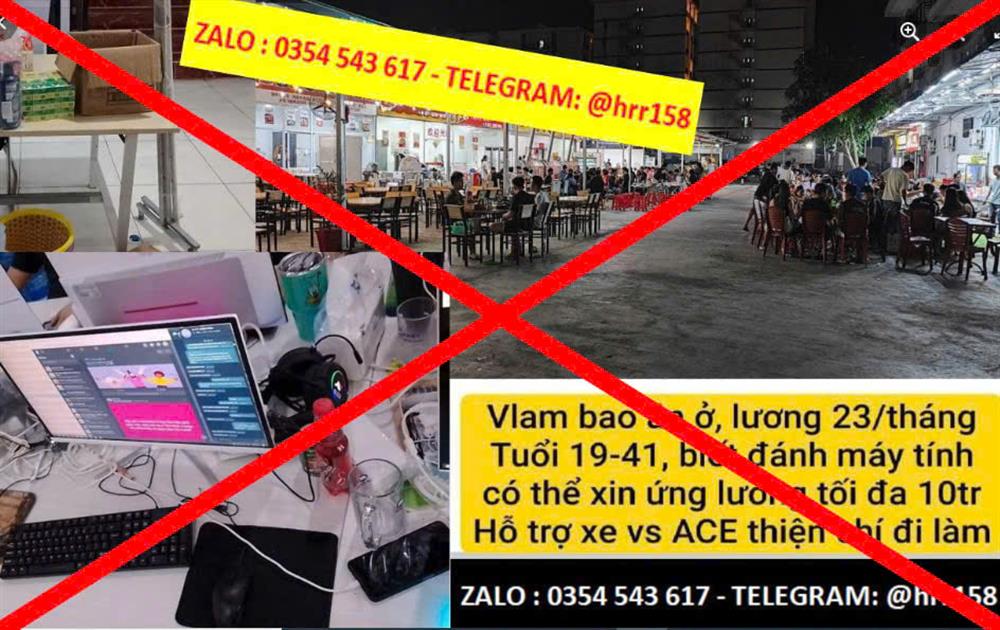 Cảnh giác với những lời chào mời hấp dẫn “việc nhẹ lương cao”